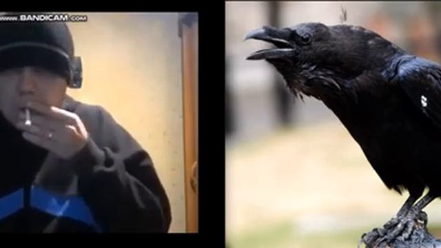 Видео 1 04 0234222111