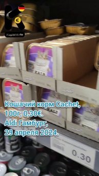 Кошачий корм Cachet, 100г, 0,30€. Aldi Гамбург, 29 апреля 2024. #цен?