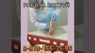 Горящая вакансия! 🔥 #top #вахта #rabota #meme #москва #rek #memes #д?