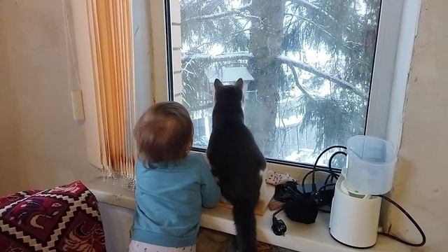 Внучка с кошкой лучшие друзья