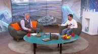 Насколько сложно фотографировать диких животных | «Новое утро»
