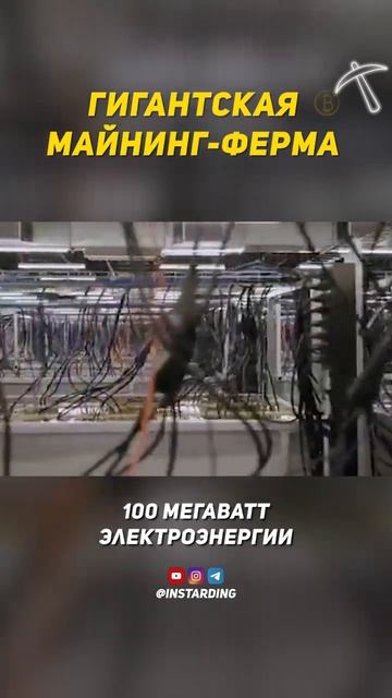 Масштабы просто поражают😱 #майнинг #криптовалюта #би?
