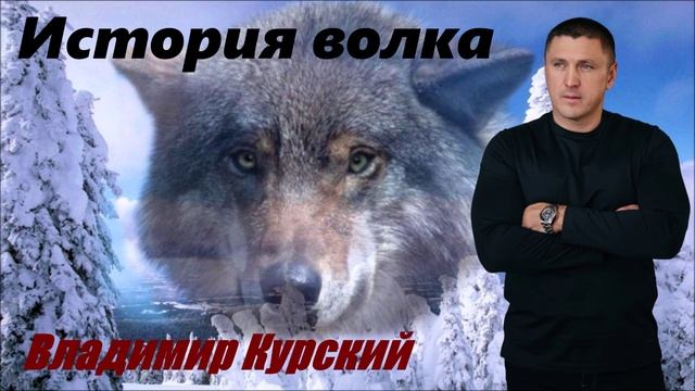 ВЛАДИМИР КУРСКИЙ - "ИСТОРИЯ ВОЛКА". АЛЬБОМ "ВОЛЧАРА".
