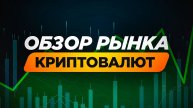 обзор рынка криптовалют