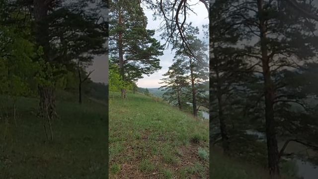 Фёдоровские заливные луга в Самарской области