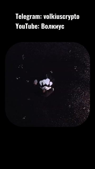 ЦЕНА PAWS #crypto #ton #telegram #solana