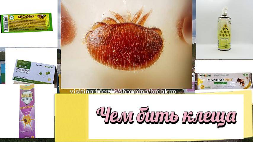 !!!чем я обрабатываю клеща ВАРОО!!! #пчеловодство#пчелы
