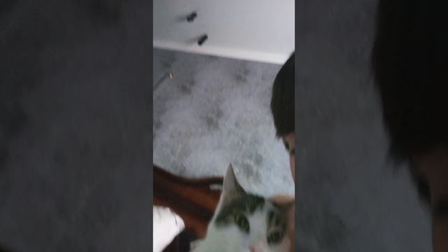 не визучиль дед
но пвещло на ультра легу