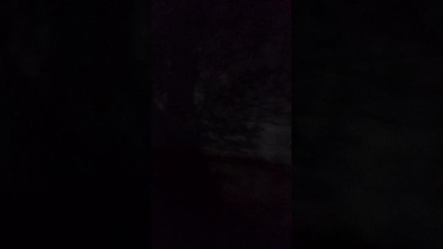 VID_20250511_222736.mp4