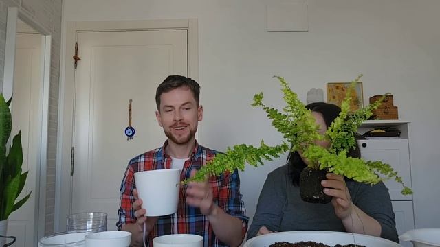 Шикарные цветочные новинки. Разговорная пересадка по?