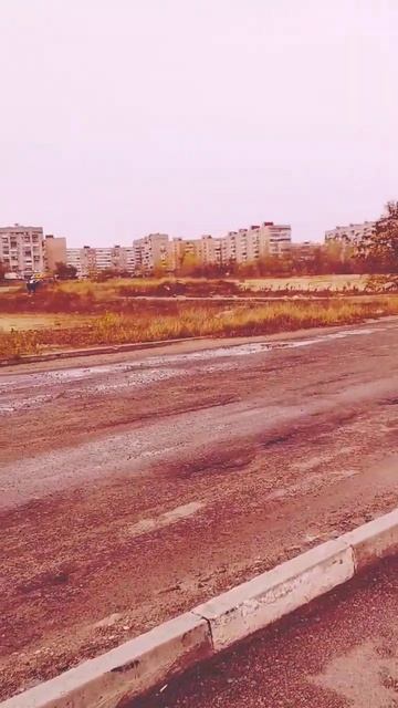 Запорожье.Пески.Амстор.ул.Нагнибеды.15.11.23. #chumovytskyi #zaporiz