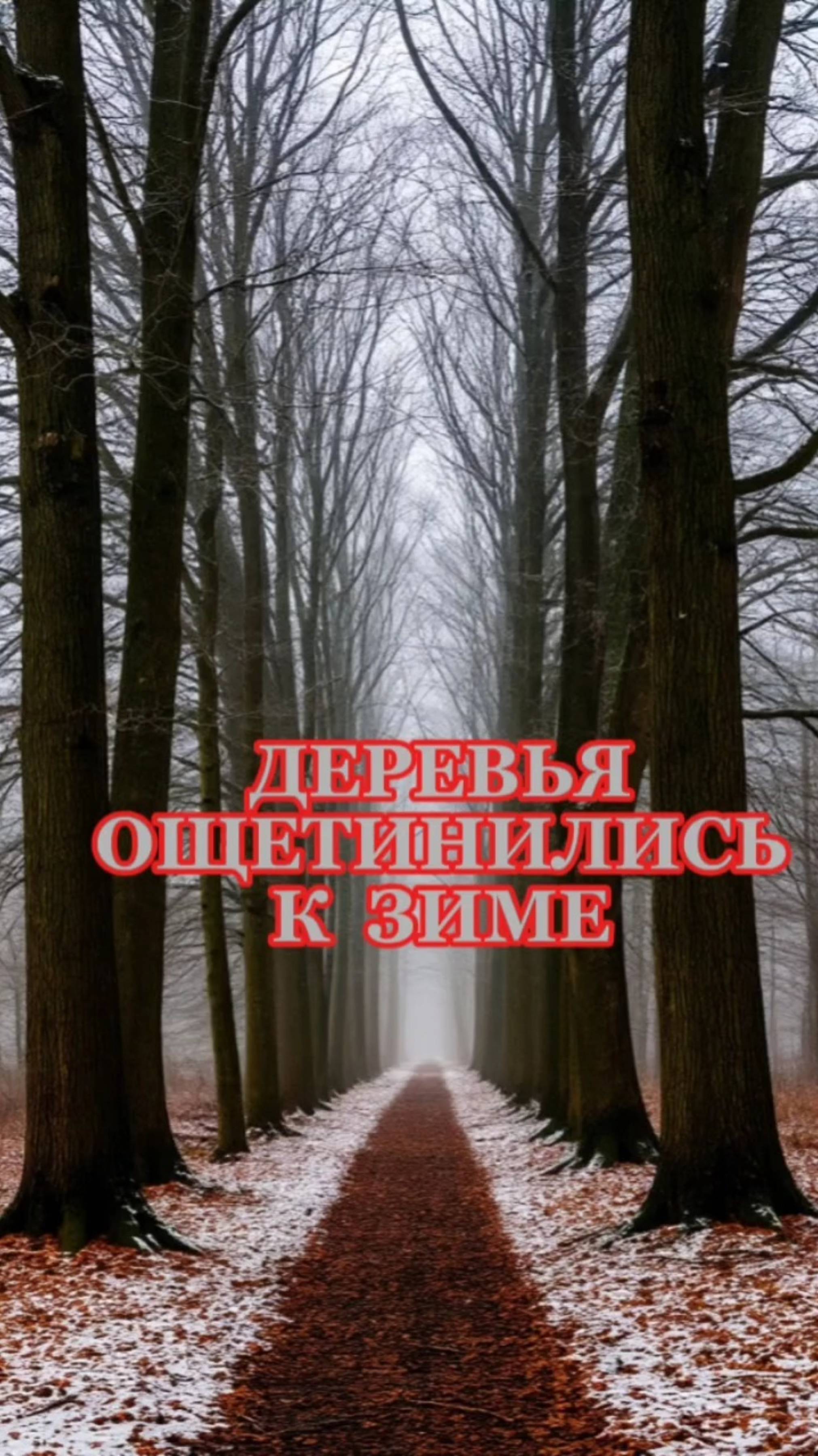 lv_0_20250511090350
Евгений Антропов @stihiantr