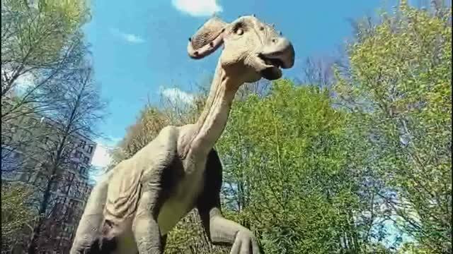 Развлекаемся с Эммочкой /Парк им. Бабушкина /Санкт-Петербург