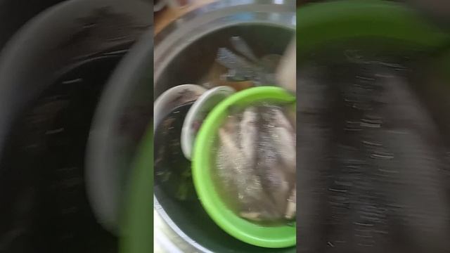 Засолки чуть рыбы