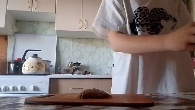 Празднуем день защиты животных❤ Что произошло Рыжику