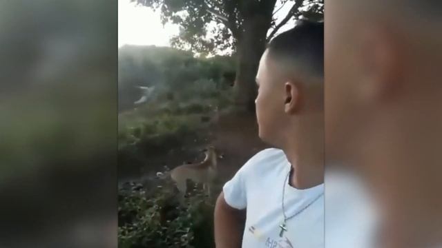 САМЫЕ_НЕЛЕПЫЕ_МОМЕНТЫ_СНЯТЫЕ_НА_КАМЕРУ