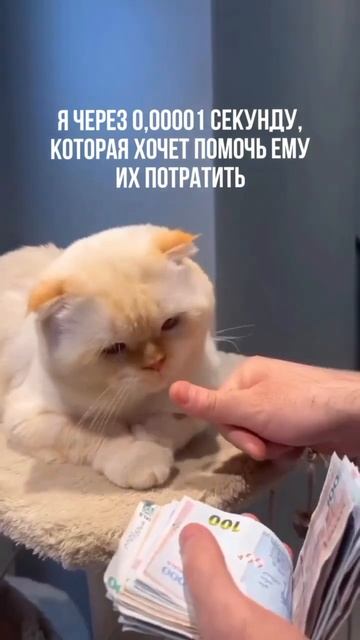 Подпишитесь на мой инстаграм Aigyl_sultanova_ там много полез