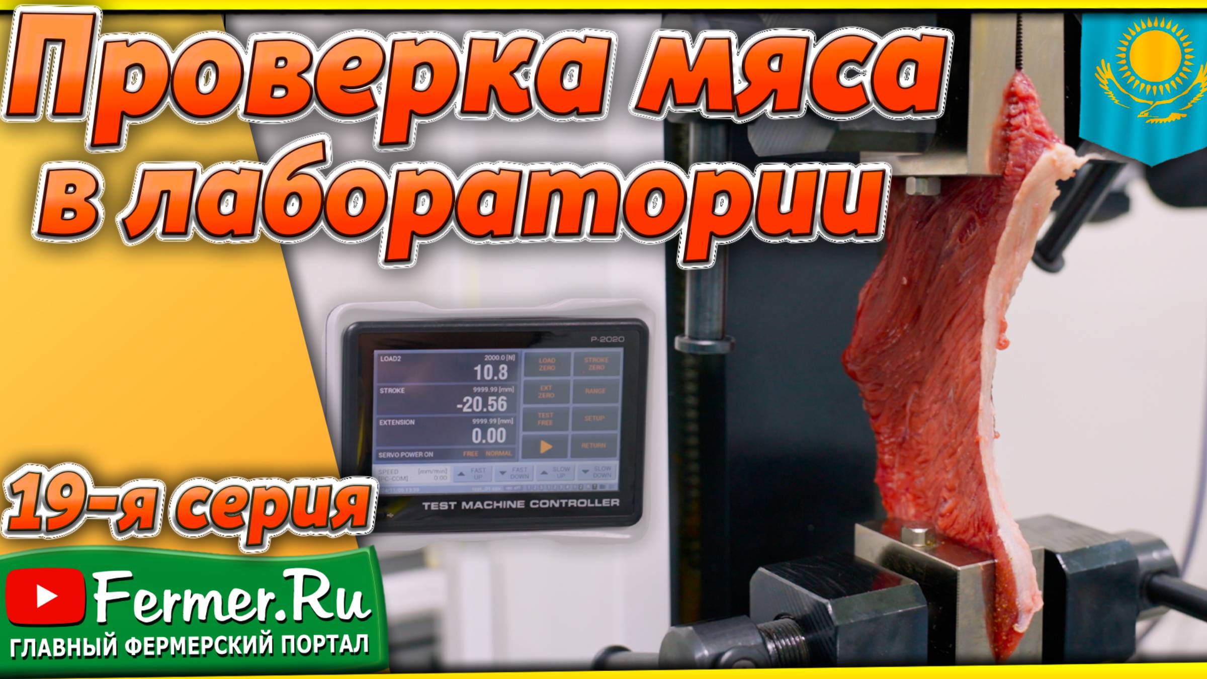 Мясо верблюда в лаборатории. Всё гораздо сложнее, чем вы думаете! Зачем растягивать мясо?
