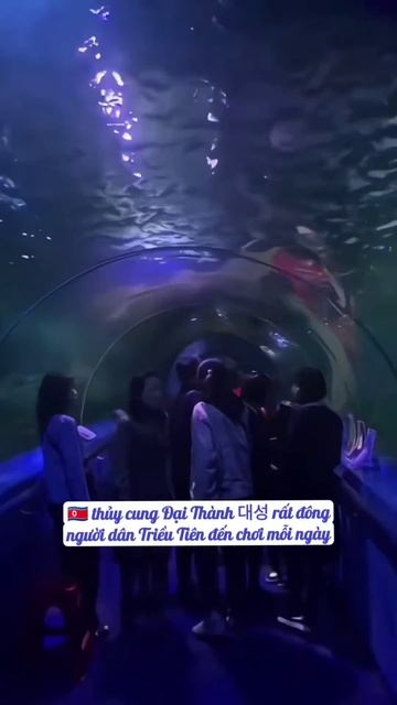 🇰🇵 DPRK Taesong Aquarium🐠