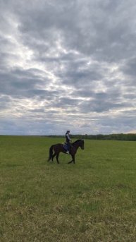 Яна на Аквилоне, рысь в поле первый раз.