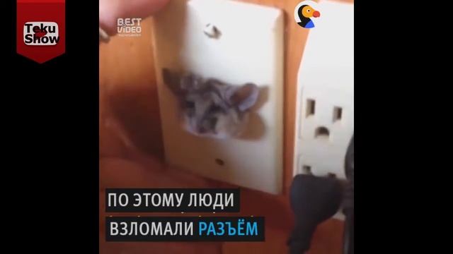 ПРИКОЛЫ ЗА ОСЕНЬ # 2 | 2017 | СМОТРЕТЬ ВСЕМ!!!✌