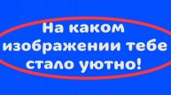 На каком изображении тебе стало уютно в чикен шаан!