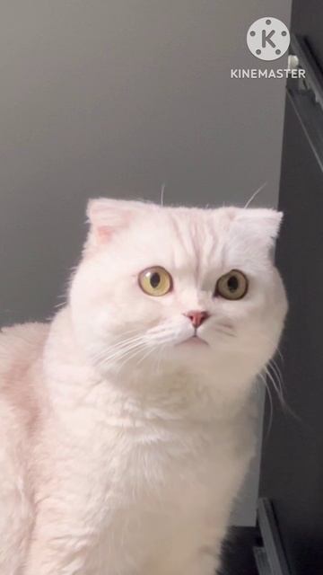 😸🗄️👍