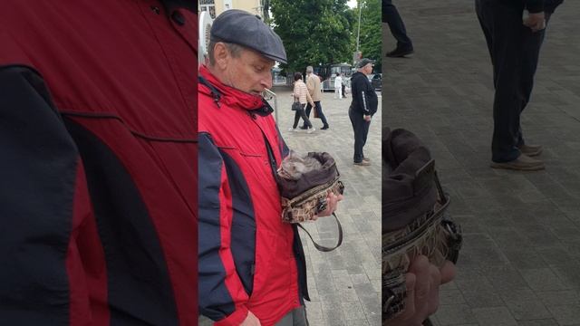 11-05-2025 котёнка в добрые руки