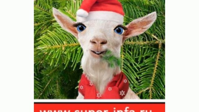 С новым годом, Алик!