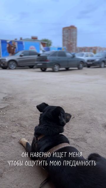 Джесси ищет дом