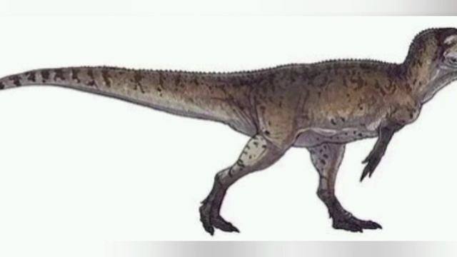1000087816.mp4