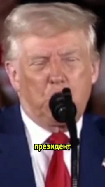Гугл пожинает плоды трампа