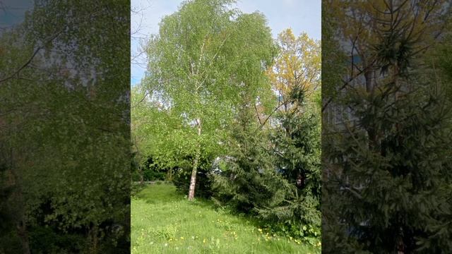 Майские Фотографии природы 🔥❤️🔥🌷