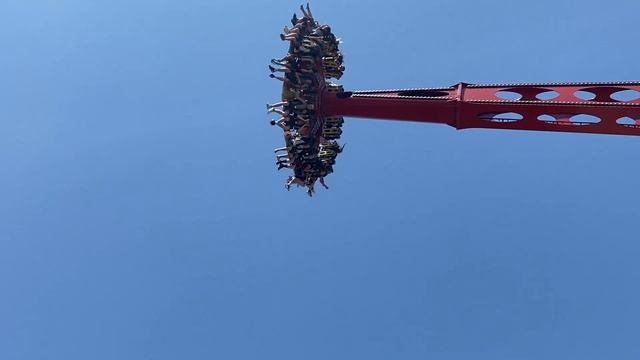 Они ещё и ножками дрыгают. Смелые люди, согласившиеся на этот аттракцион в Сочи Парке