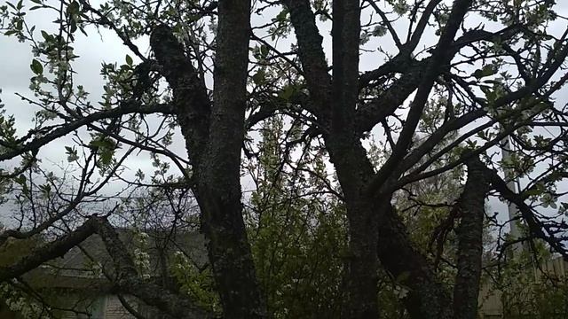 С днём победы, с 9 мая. Подписывайтесь, ведь это красота России!!!