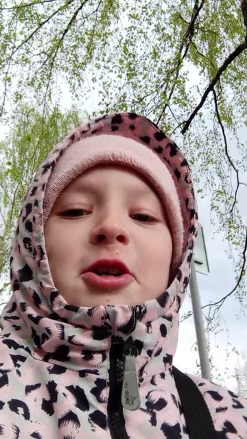 погода айс