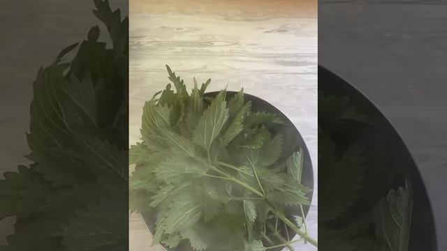 Рецепт приготовления супа с крапивой