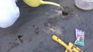 Капуста (ч.1) высадка рассады в грунт на огород. 02.05.2015г.
