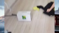 1000001183.mp4