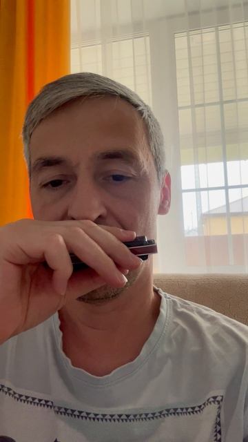 В лесу родилась ёлочка на губной гармошке