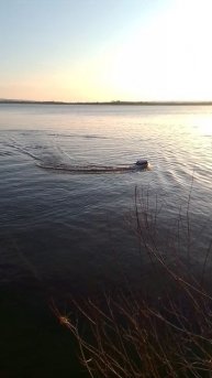 Прикормочный кораблик проверка на Нововоронежском водохранилище.mp4