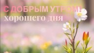 Доброе Утро, Солнышко! Красивые Пожелания на Начало Дня 🌸