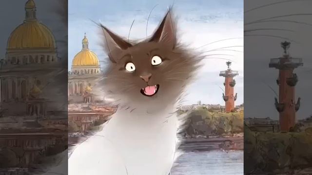 Питер, там коты особые🐱😉