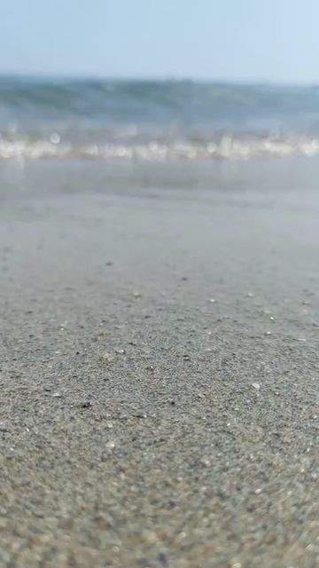 море