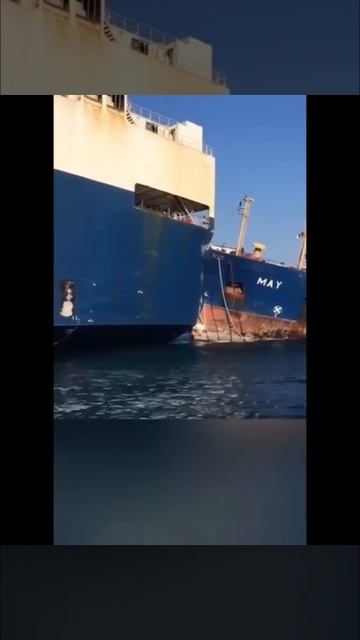 Captain ko dikha nahi #shorts #ship #marine #sea #ocean #short