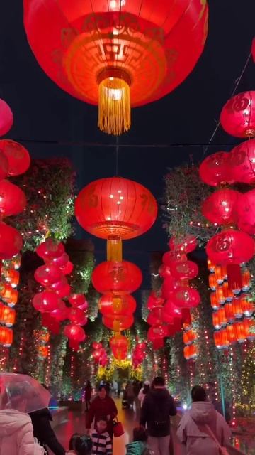 Фестиваль фонарей 🏮 Наньин #china #новости #travel #китай