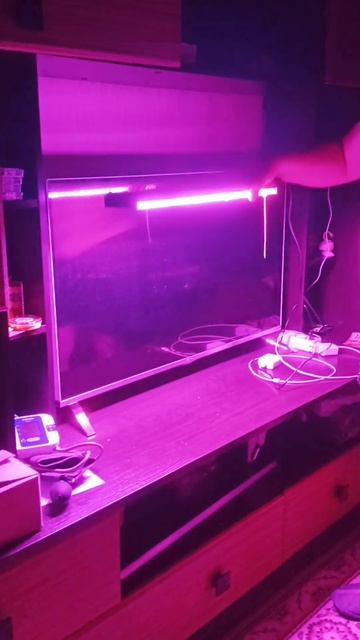 Фитолампа полного спектра