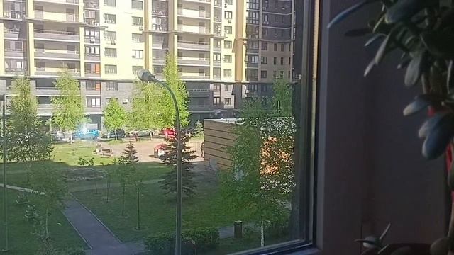 Погода май 2025
