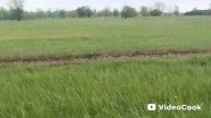 2 часть сереноголовый в реальной жизни 😨😱😱