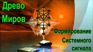 Древо Миров. Процесс формирования Системного Сигнала ✅- онлайн семинар